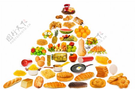 营养美食金字塔图片