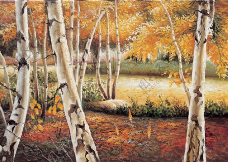 秋天树林风景油画写生图片