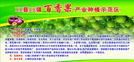 百香果产业种植