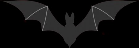 手绘飞翔的蝙蝠图片免抠png透明图层素材