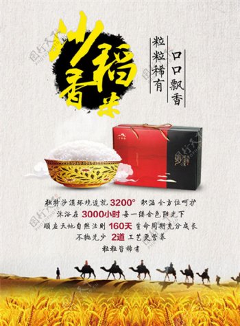 沙稻香米广告