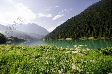 美丽森林湖泊风景图片
