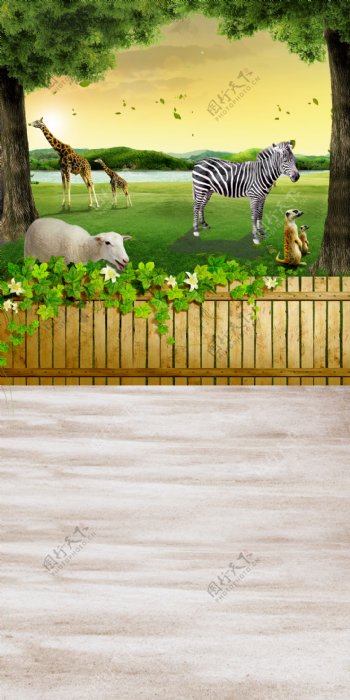 草地上的长颈鹿等影楼摄影背景图片