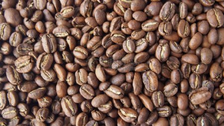 咖啡豆高清特写