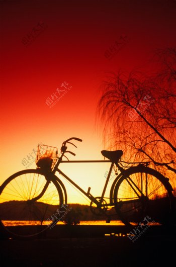 郊外湖边停着的自行车图片