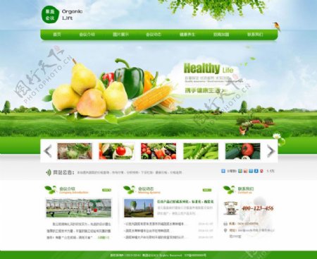 网页设计农业类生态绿色