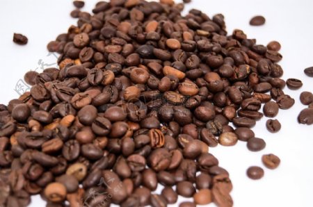 棕色的咖啡豆
