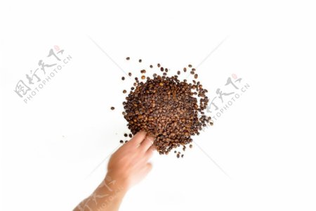手指和咖啡豆