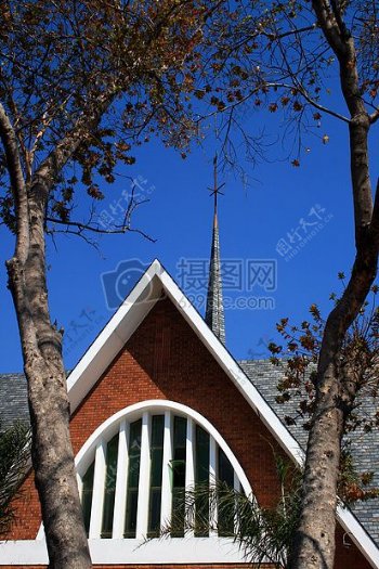 教会与树