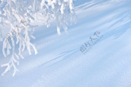 冬季风光摄影图片