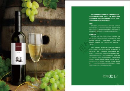 葡萄酒PSD画册下载图片