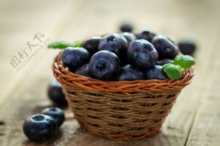 新鲜蓝莓摄影图片