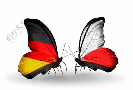 德国波兰国旗蝴蝶图片