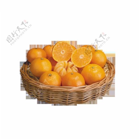 矢量水果橙子元素