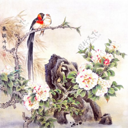 鸟语花香装饰画