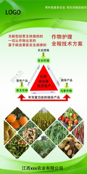 农作物护理海报