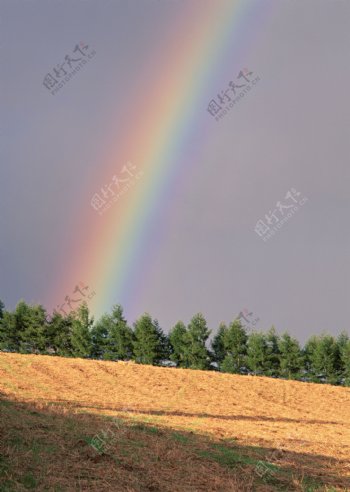美丽彩虹摄影图片