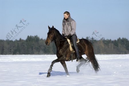 雪中骑马的女孩图片
