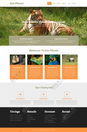 动物园网页素材