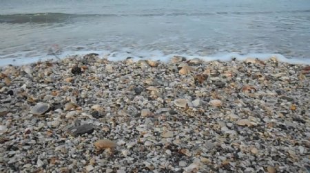 海滩小的鹅卵石视频