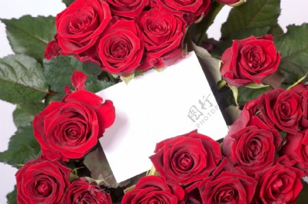 玫瑰花与礼物卡图片
