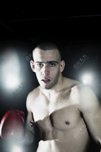 拳击手摄影图片