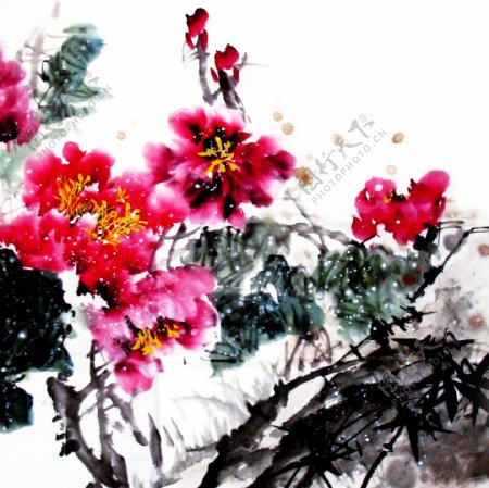 中国风水彩墨山茶花装饰画