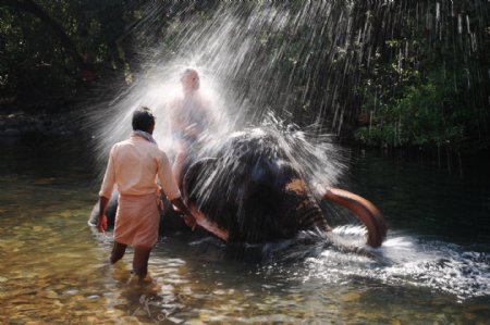 泰国河里的大象图片