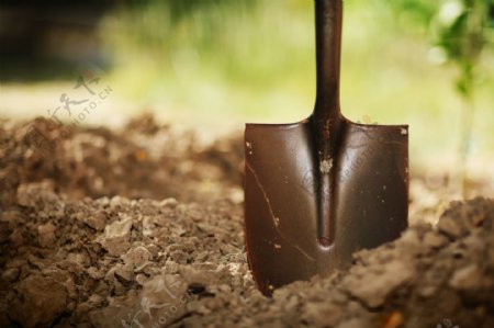 铲子与土壤