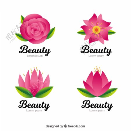 粉红色花朵的美丽标识
