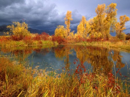 秋天树木与湖泊风景图片