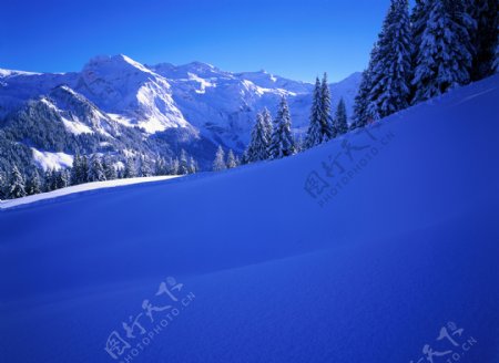雪地山峦树林图片