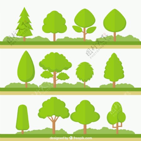 绿化树木的收集