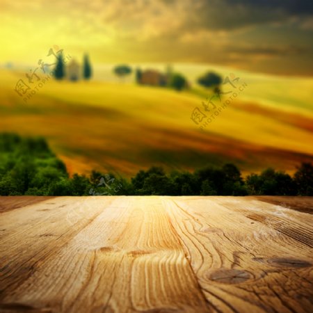 田野绿树前的木板图片