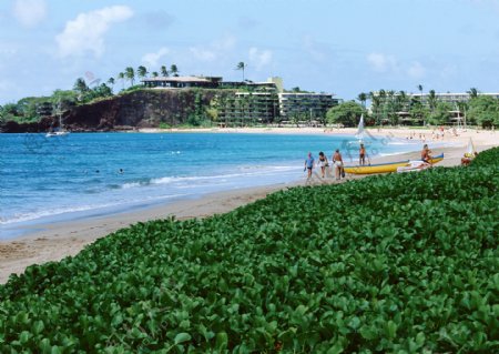 美丽夏威夷沙滩美景图片