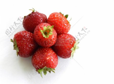 六颗红色草莓水果