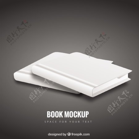 空白的书模型