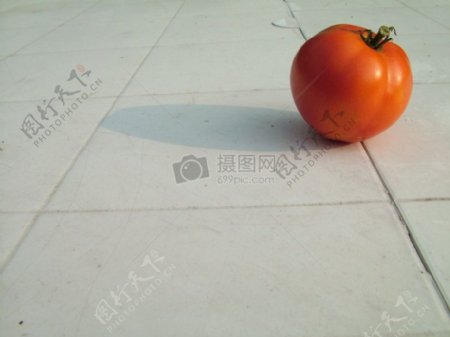 地面上的番茄