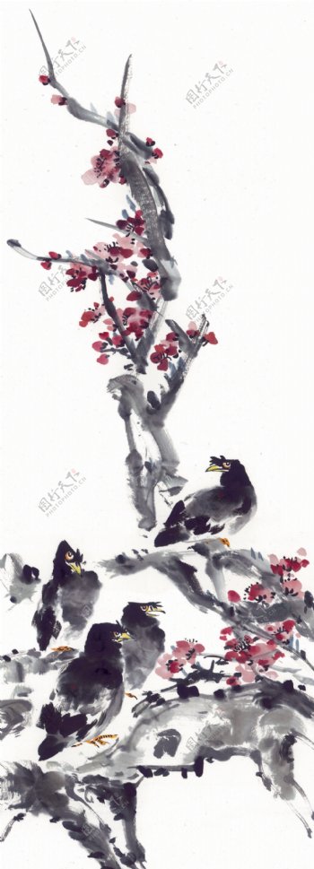 鲜花与乌鸦插画图片