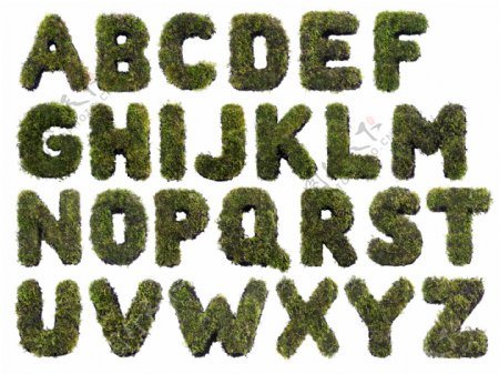 绿色树叶字母设计图片