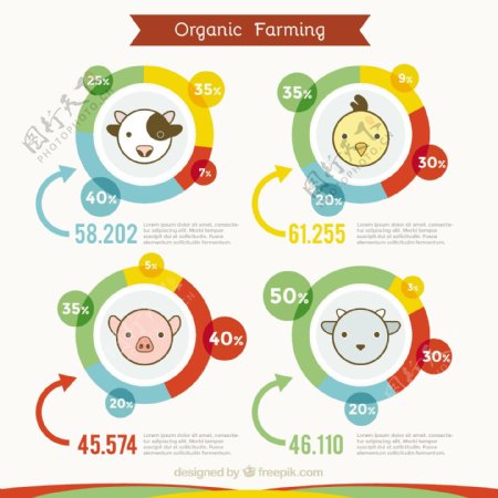动物可爱的有机农业infography