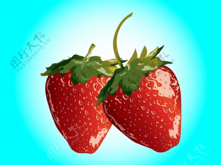 矢量草莓水果素材