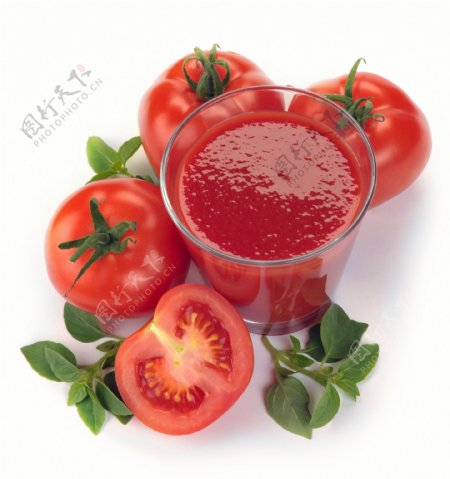 番茄酱与西红柿图片