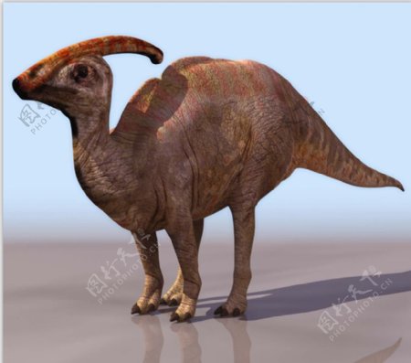 冠龙恐龙古生物