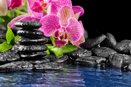 黑色水疗石与兰花图片