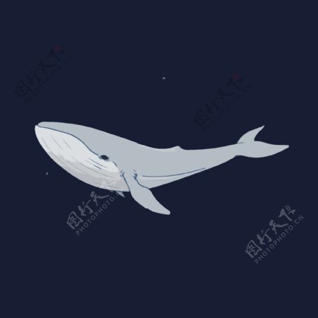 卡通灰色鲸鱼图案