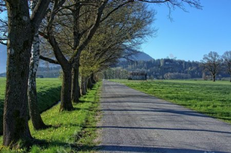 道路