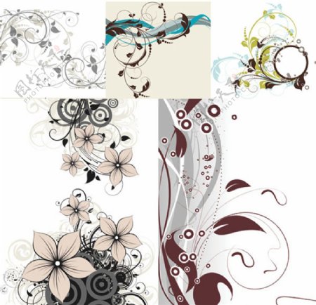 花卉插图设计矢量素材