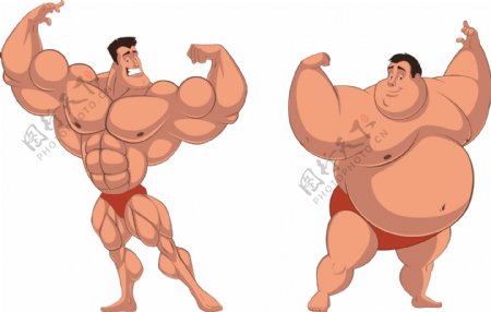 肌肉男与肥胖男人