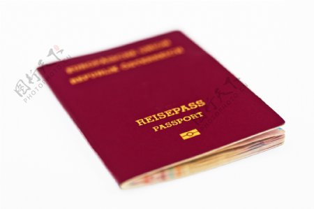 护照本图片